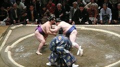 Sumo wrestlers